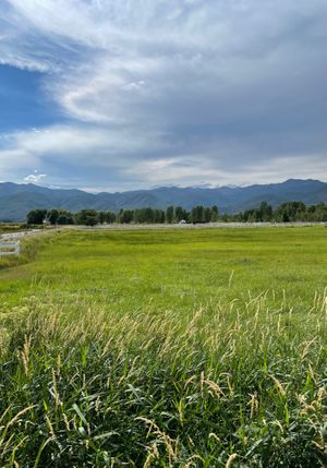 Farm and Mountain View from outside patio.  at Back 40 Ranch House Grill in Heber City
