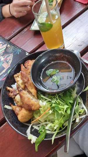 Spring rolls with rice and salad at Asia Town in Schwerin