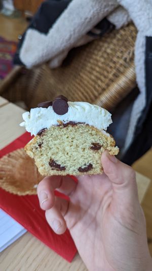 Vegan chocolate chip cupcake at Superhero Records in Berlin