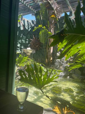   at Ambrosia India Bistro in Monterey