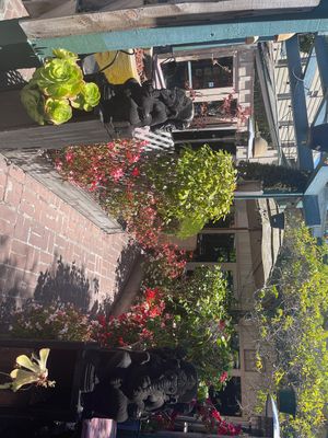   at Ambrosia India Bistro in Monterey