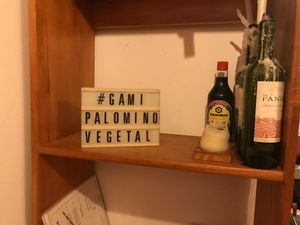 Gami Palomino at GAMI Palomino in La Guajira