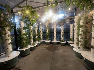 Their amazing greenhouse!!!  at The Green House in Wilmington