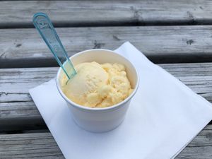 Mango sorbet at Gelato Farm Teuven in Voeren