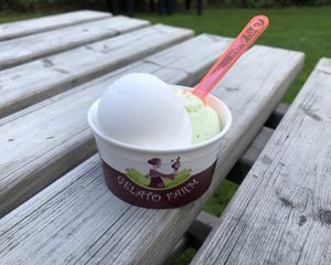 Lemon and Mojito ice cream at Gelato Farm Teuven in Voeren