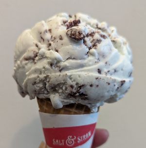 Freckled Mint Chocolate Chip at Salt & Straw in Portland