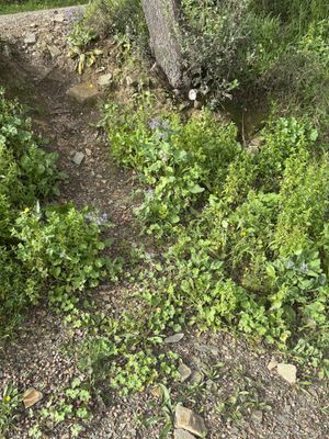   at Hanna Bakery in Yen Thanh