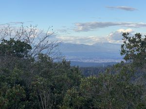   at Hanna Bakery in Yen Thanh