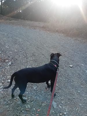   at Hanna Bakery in Yen Thanh