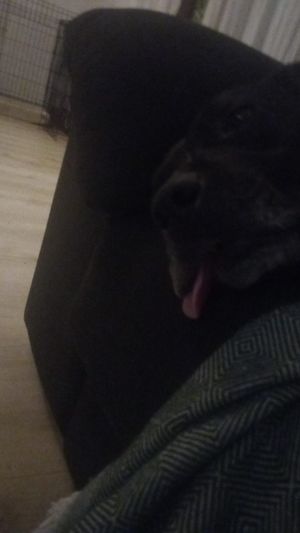   at Hanna Bakery in Yen Thanh