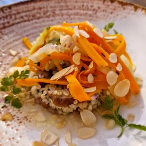 Le plat principal du menu vegan at HO' Gastronome in St-germain-du-bois