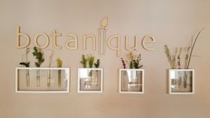 plants on wall at Botanique in Vilnius