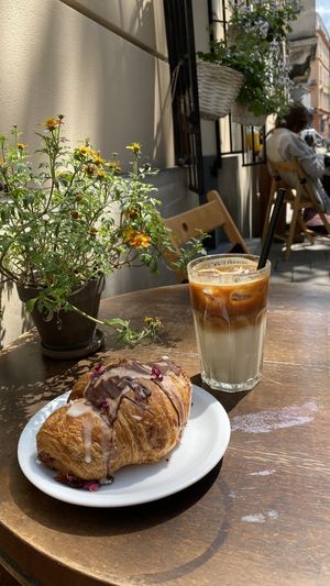   at Massolit Books & Café in Krakow