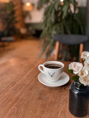 coffee roasted localy in Jelenia Góra at Harper  in Jelenia Gora