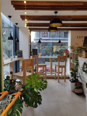 View of the cafe  at Copper + Cloves @ Organic World in Bangalore