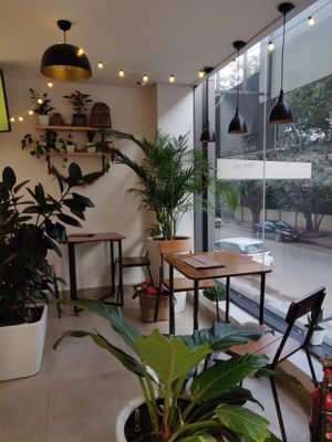 View of the cafe  at Copper + Cloves @ Organic World in Bangalore