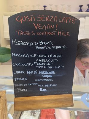 Vegan menu!  at Gelateria il Masgalano in Siena