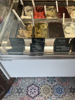 Examples of vegan gelato  at Gelateria il Masgalano in Siena