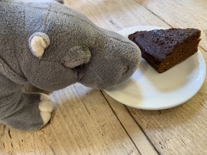 Ginger cake and hippo at Cafe in the Park in Rickmansworth