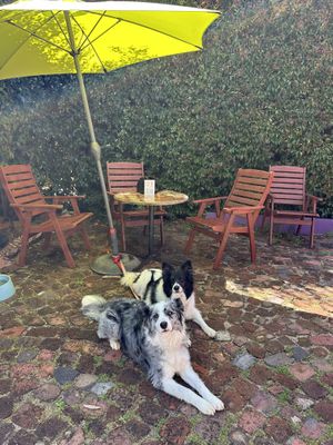   at Cafe Mojo in Mundaring