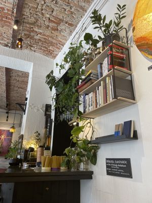   at Papírkutya in Veszprem