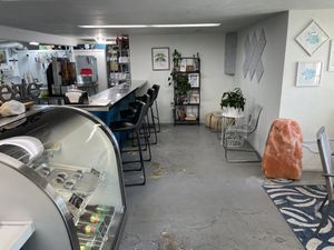 Counter seat  at Green Vibes Juice & More in Mount Vernon