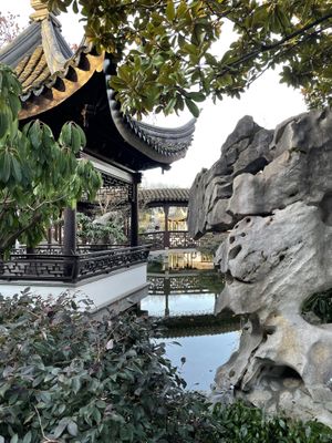   at The Tao of Tea in Portland