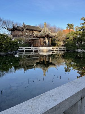   at The Tao of Tea in Portland