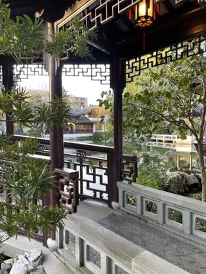   at The Tao of Tea in Portland