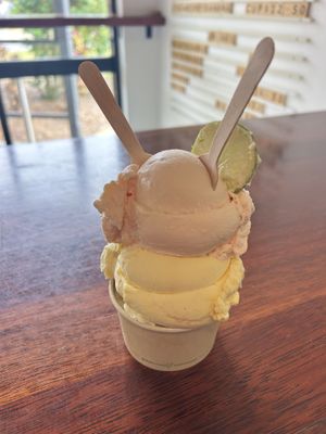 Delicious dairy free flavours   at 1770 Gelato Co in Agnes Water