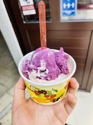 Blueberry and strawberry ice cream🙂  at Jadran Slasticarnica in Pag