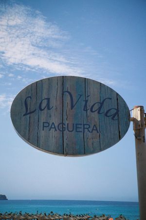 Cute  at La Vida Paguera in Mallorca