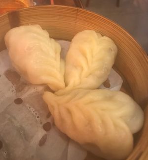 Vegeta ravioli at Ichiban in Padua