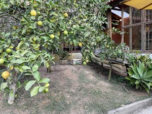 Sucos de frutas do quintal. at Arte em Conservas in Petropolis