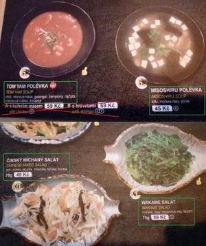 Vegan options - soups, salads
Tom Yam Soup needs request without chicken or shrimps at Golden Sun in Havlickuv Brod