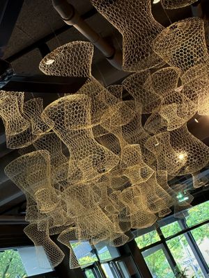   at SVAAdish in Hamburg