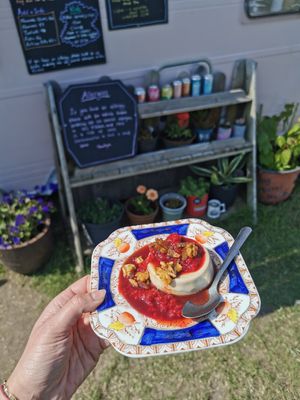 Coconut panacotta at Ellies Soul Kitchen in Helston