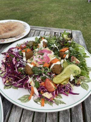 Falafel plate with brown pitta  at Ellies Soul Kitchen in Helston