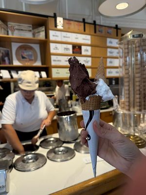 cioccolato al riso and fior di latte al riso  at Gelateria Gentile  in Bari