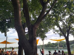 Der Blick....😍 at Kiosk an der Schlicht in Neuhofen