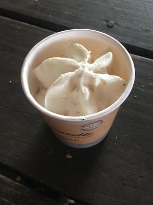 Vegan vanilla tub at Street food North East - Ice Garden in Alnwick
