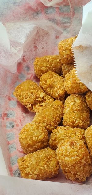 Tator tots at Red's Root Beer in Paw Paw
