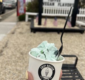 vegan oreo mint & sign out front saying “vegan options”   at Ship Bottom Ice Cream Co in Ship Bottom