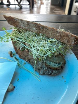 babaganoush sandwich with alfalfa   at Thornton's in Thornton Beach