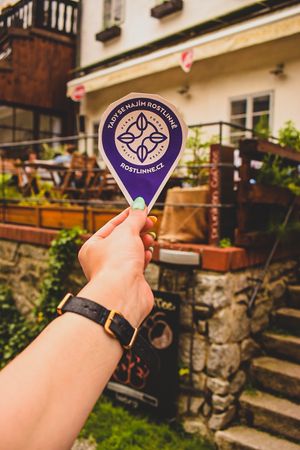 #tadysenajimrostlinne at Drunken Coffee in Cesky Krumlov