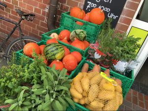 veggies at Bio-Insel Stralsund in Stralsund
