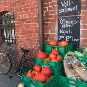 outside at Bio-Insel Stralsund in Stralsund