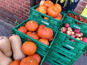 veggies & stuff at Bio-Insel Stralsund in Stralsund