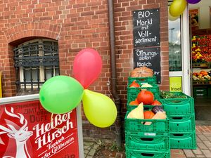 outside at Bio-Insel Stralsund in Stralsund