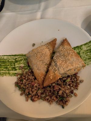 Crispy, tofu/veggie stuffed spanakopita at True Bistro in Somerville
